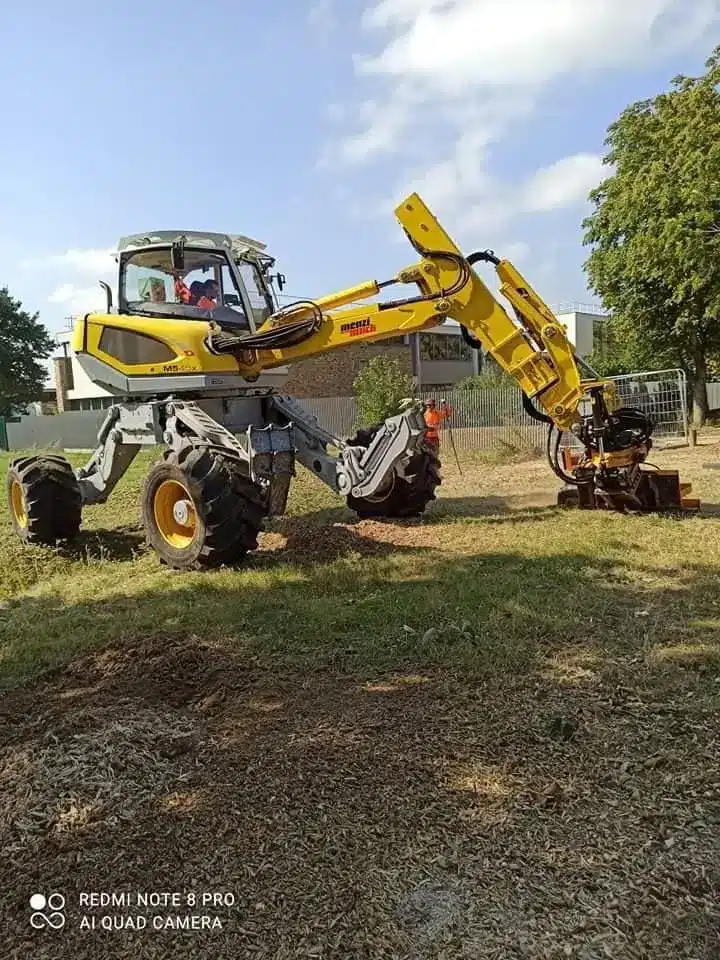 Une machine jaune et noire est posée sur le sommet d'un arbre.